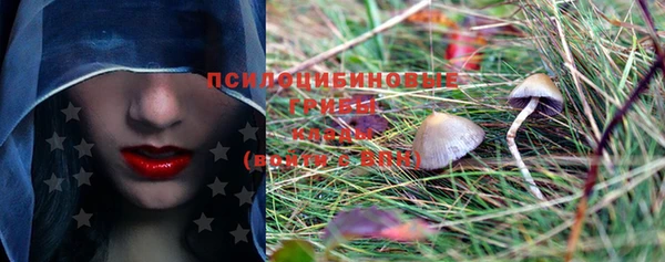 винт Новозыбков